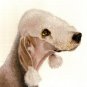 ♥ Original Oil DOG Portrait Painting BEDLINGTON TERRIER