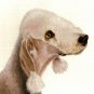 ⥠Original Oil DOG Portrait Painting BEDLINGTON TERRIER