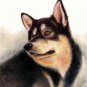 ⥠Original Oil DOG Portrait Painting ALASKAN MALAMUTE â¥