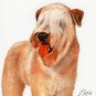 * Original Oil DOG Portrait Painting WHEATEN TERRIER