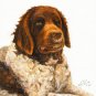 ★ Original Oil DOG Portrait Painting WETTERHOUN Artwork