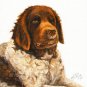 ★ Original Oil DOG Portrait Painting WETTERHOUN Artwork