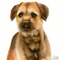 ★ Original Oil DOG Portrait Painting BORDER TERRIER Art