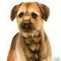 ★ Original Oil DOG Portrait Painting BORDER TERRIER Art