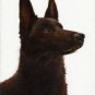 * Original Oil DOG Portrait Painting AUSTRALIAN KELPIE
