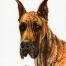 ♥ Original Oil DOG Portrait Painting GREAT DANE Artwork