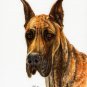 ♥ Original Oil DOG Portrait Painting GREAT DANE Artwork