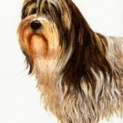 ★Original Oil Portrait Painting POLISH LOWLAND SHEEPDOG