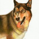♥ ORIGINAL Oil DOG Portrait Painting ALASKAN MALAMUTE
