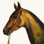 ★Original Oil Portrait Painting Art STALLION HORSE PONY