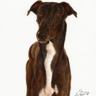 ★ Original Oil DOG Portrait Painting Art GREYHOUND ★