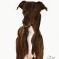 ★ Original Oil DOG Portrait Painting Art GREYHOUND ★