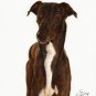 ★ Original Oil DOG Portrait Painting Art GREYHOUND ★
