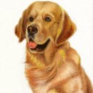 ♥ Original Oil DOG Portrait Painting GOLDEN RETRIEVER ♥