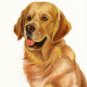 ♥ Original Oil DOG Portrait Painting GOLDEN RETRIEVER ♥
