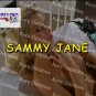 Sam Gets Her Girl Season One Adult XXX USED DVD LezLove BEAUTIFUL SAMMY JANE LESBIANS ALL GIRLS
