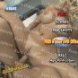 Real Moms XXX USED DVD Leisure Time Catalog 28493 REAL LIFE MOMMY MOMS MOMMIE