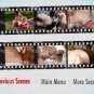 DVD Offer 20 Titles 120 Scenes Pt 2 XXX USED DVD Leisure Time Catalog 29933 ANAL ORAL GANGBANG