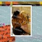 RED HOT SEX SAMPLER XXX USED DVD ADAM & EVE FOURSOMES HUGE COCKS BIG TITS SMALL TITS