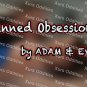 BANNED OBSESSIONS XXX USED DVD ADAM & EVE KATJA KASSIN BOBBI STARR JENNA HAZE FLOWER TUCCI