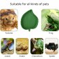 Leaf Shape Reptile Feeder Food Water Bowl For Turtle Lizards Hamsters