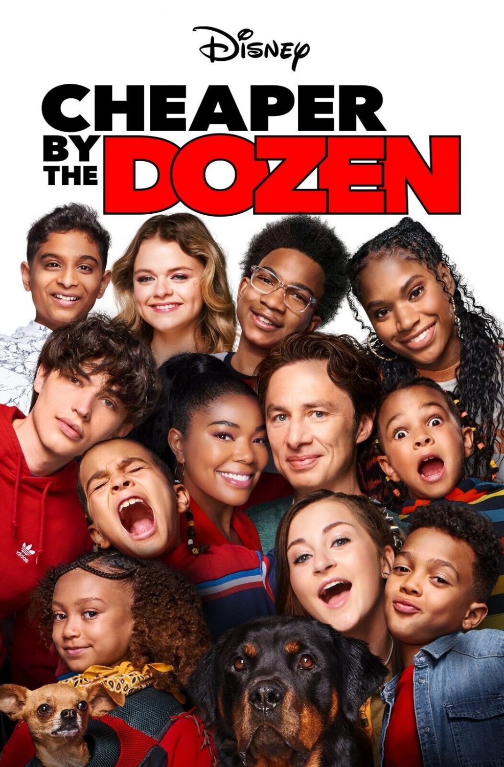 Cheaper by The Dozen Movie Poster | Remake | 2022 | 11x17 | NEW | USA