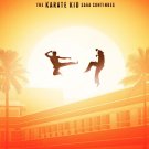 Cobra Kai TV Series Poster | Season 1 | 2018 | 11x17 | NEW | USA