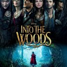 Disney's Into The Woods Movie Poster | 2014 | 11x17 | NEW | USA