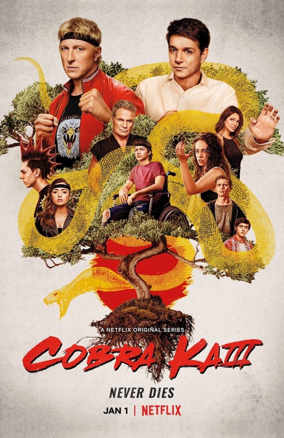 Cobra Kai TV Series Poster | Season 3 | 2020 | 11x17 | NEW | USA