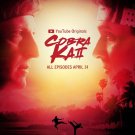 Cobra Kai TV Series Poster | Season 2 | 2019 | 11x17 | NEW | USA