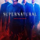 Supernatural TV Series Poster | Season 10 | 2014 | 11x17 | NEW | USA