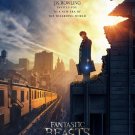 Fantastic Beasts and Where To Find Them Movie Poster - 11x17 Inches | 2016 | NEW