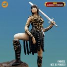 Figure 1/6  Princess warrior Xena
