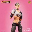 Statute Figure Figurine 1/6 Sonya Blade Mortal Kombat DC
