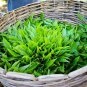 Bogawantalawa Kahata Pure Ceylon Black Tea 200g-800g Sri lankan tea Premium Quality