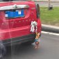 A Toy Story Woody rescue Buzz Doll Outside Car Hanging plush