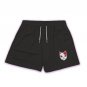 Anime Shorts  Beach Short Pants Simple Style Devil Fruit 3D Printed Shorts Anime