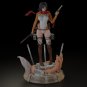 Mikasa Ackerman Sexy from Attack on Titan STL FILE 3D model