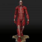 Bertholdt Titan From Attack On TiTan STL FILE 3D model