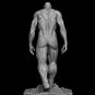 Bertholdt Titan From Attack On TiTan STL FILE 3D model