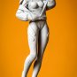 Asuka Langley From Neon Genesis Evangelion STL FILE 3D model