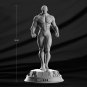 Jiren From DragonBall STL FILE 3D model