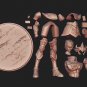Saint Seiya Aiolia Leo STL FILE 3D model