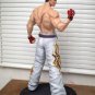 Mishima Kazuya From Tekken