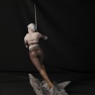 Ciri V2 from The Witcher