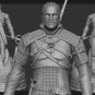 Geralt of Rivia from The Witcher
