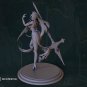 Rosaria From Genshin Impact