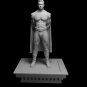 Homelander Stand from The boys STL file