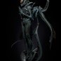 Alien Xenomorph Fanart STL file