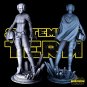 Leia Organa From Star Wars STL file